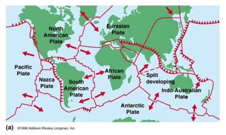 What direction are the plates moving?