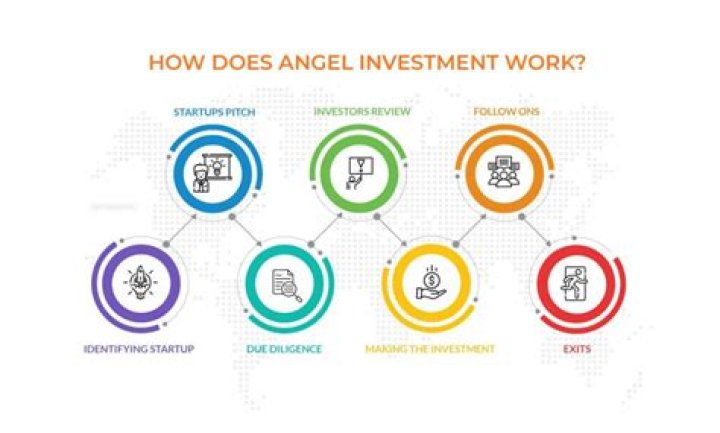What do angel investors want in ventures?