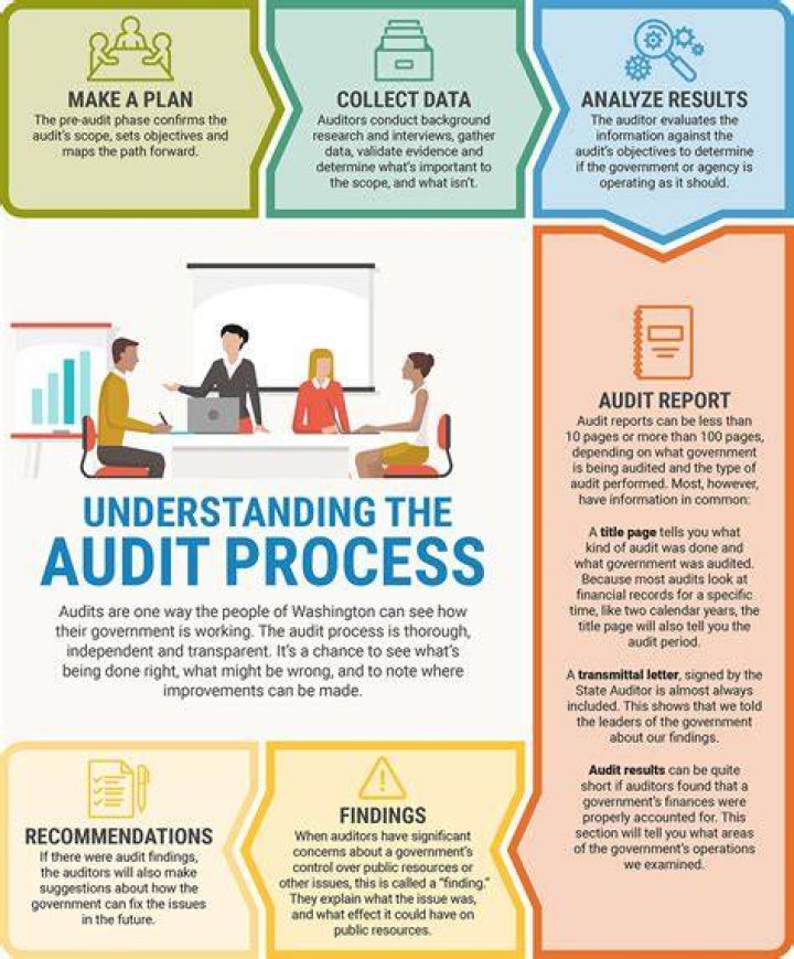 What do auditors do during an audit?