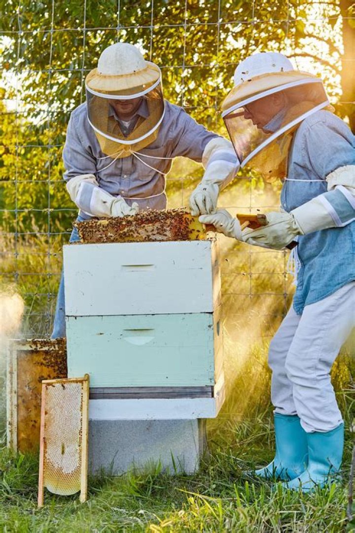 What do bee keepers need?