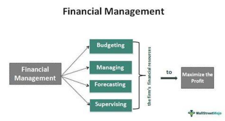 What do financial managers balance?
