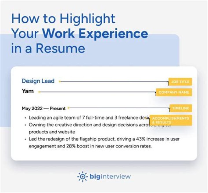 What do I put for work experience on an application if I have none?