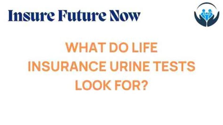 What do life insurance companies look for in urine?