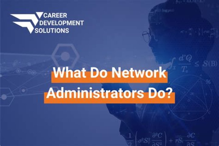 What do network executives do?
