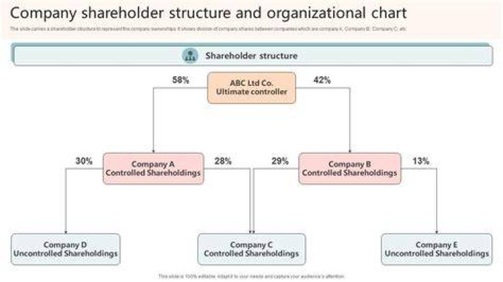 What do shareholders do in a corporation?