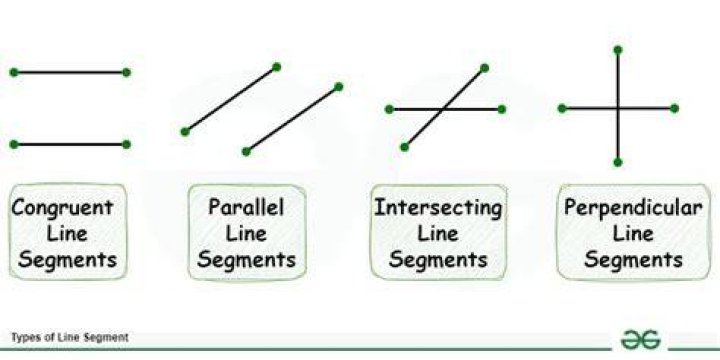 What do u mean segment?