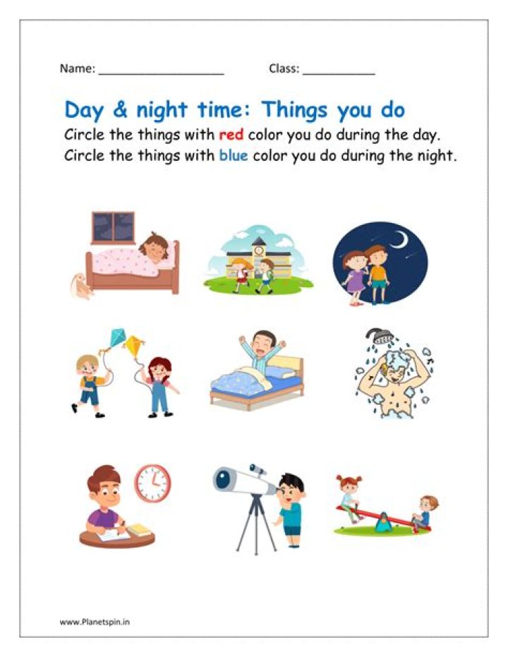 What do you do on the whole day?