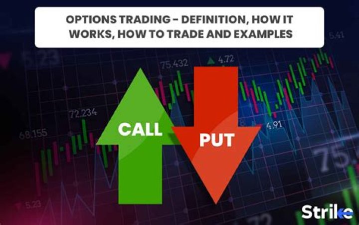 What do you mean by options?