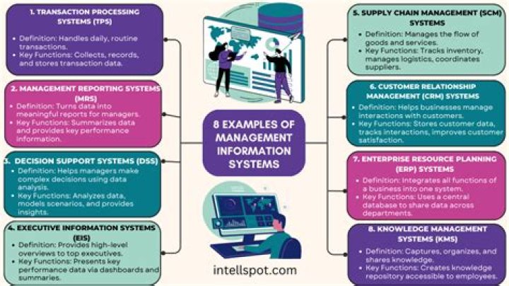 What does a management information systems major do?