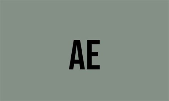 What does AE mean on jewelry?