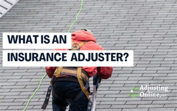 What does an adjuster do for an insurance company?