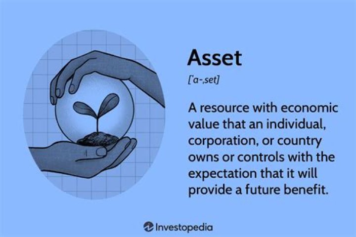 What does being an asset mean?