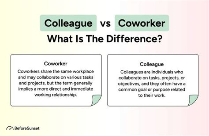 What does Colleagues mean in a sentence?