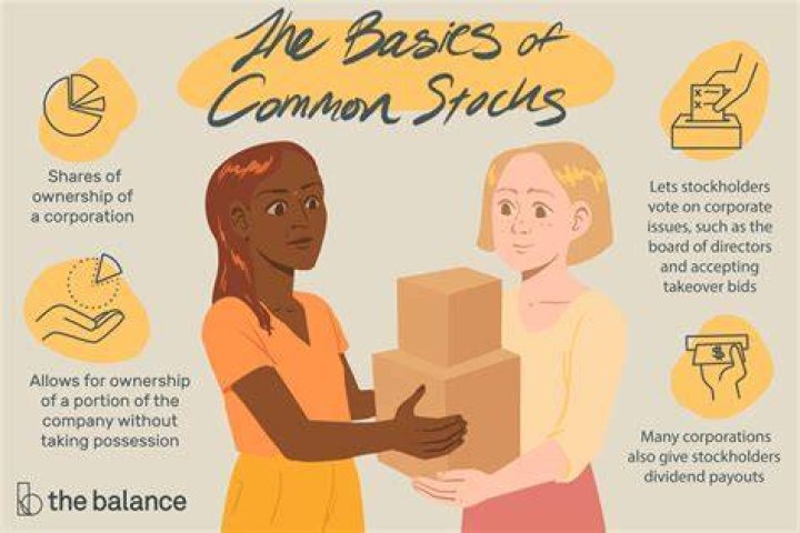 What does common stock mean?