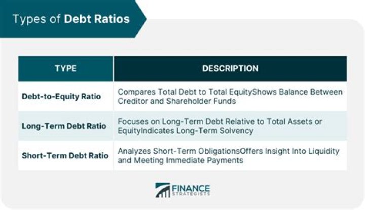 What does debt ratio represent?