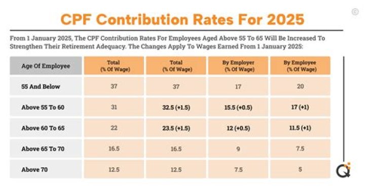 What does employee contribution mean?