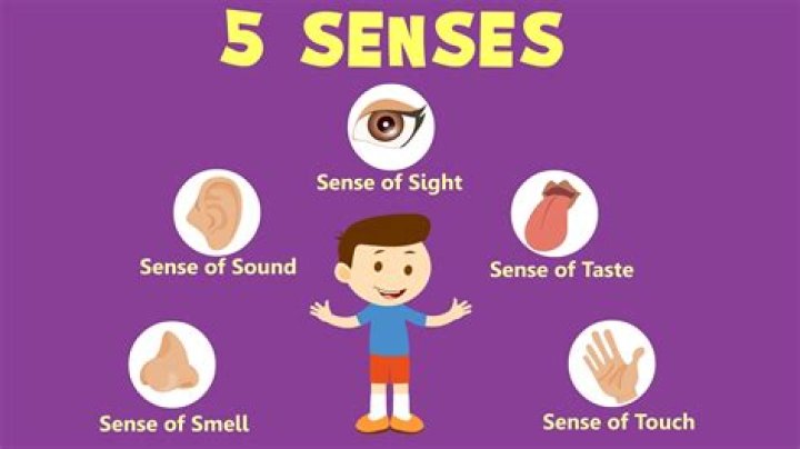 What does in a sense of mean?
