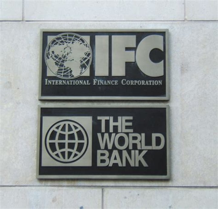 What does International Finance Corporation do?
