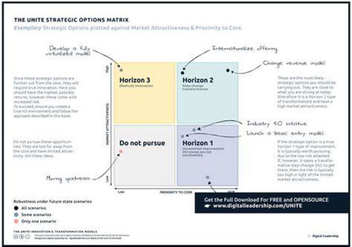 What does it mean to get options in a company?