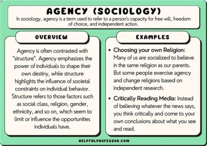What does it mean to have agency experience?