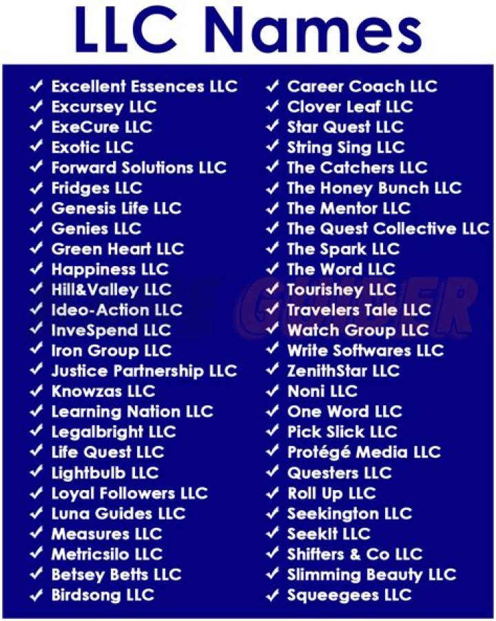 What does it mean to have LLC after your name?