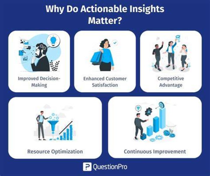 What does it mean to provide insight into something?