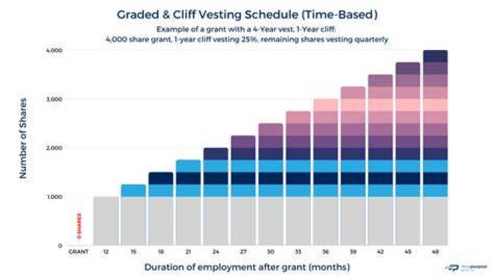 What does it mean when shares are fully vested?