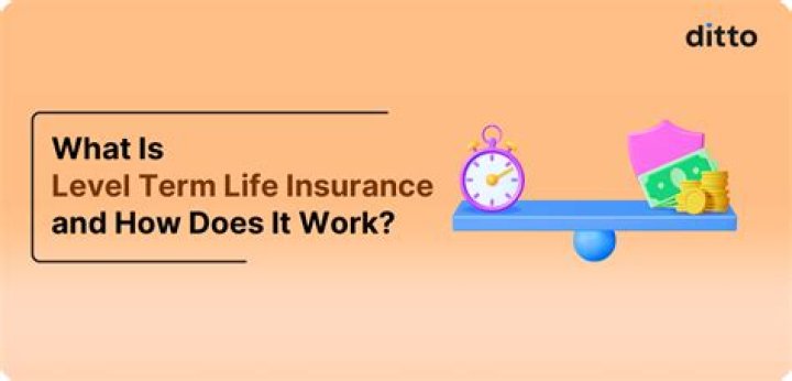 What does level term life cover mean?