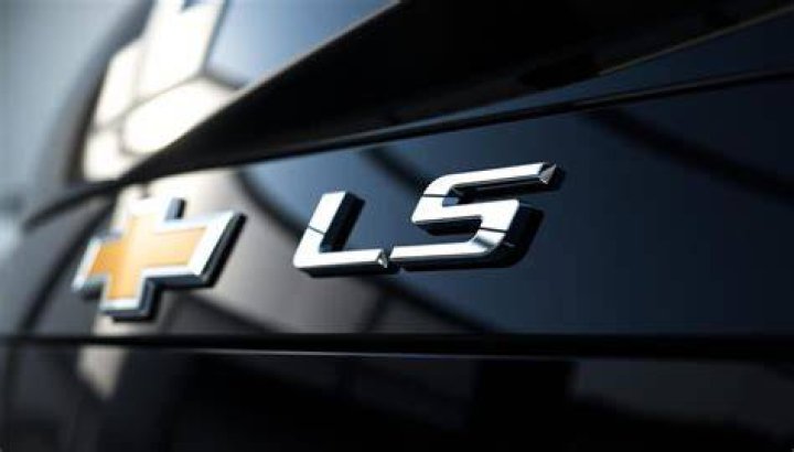 What does LS mean on silver?