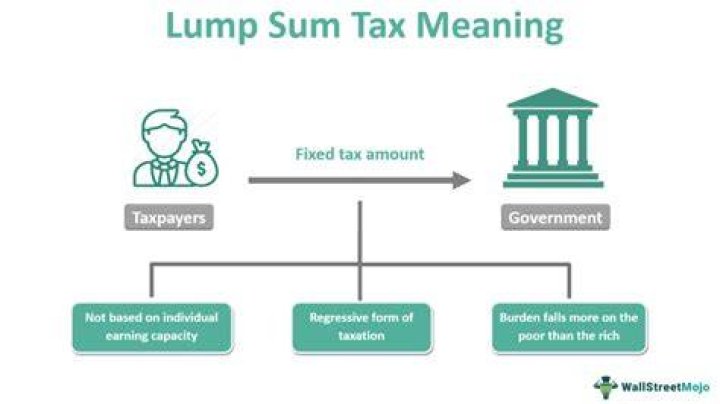 What does lump sum amount mean?