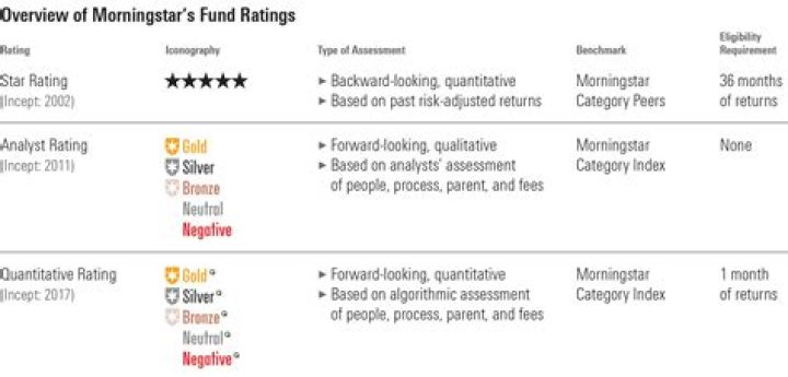 What does Morningstar category mean?