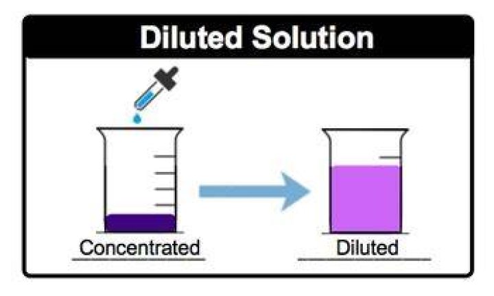 What does non diluted mean?