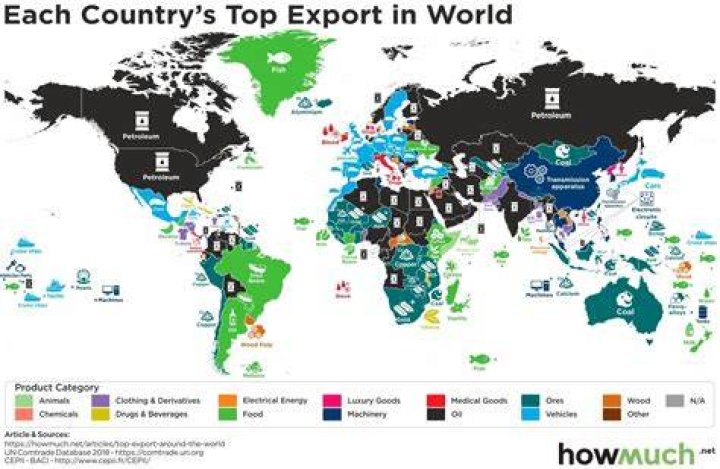 What does our country export the most?