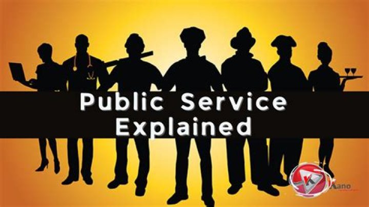 What does public service include?