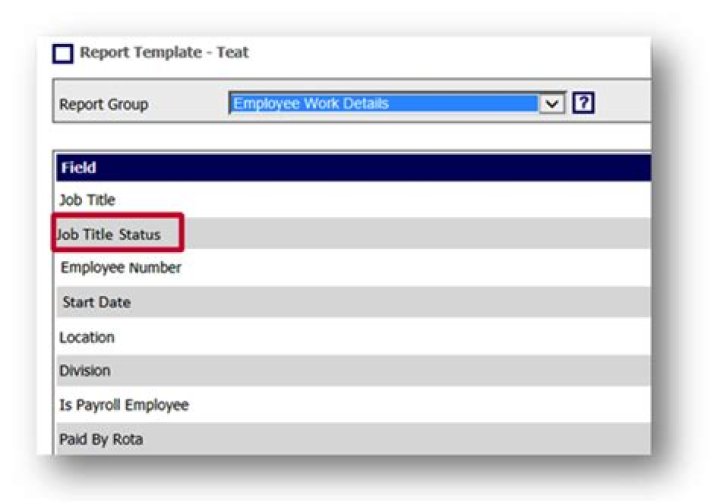 What does reporting to job title?