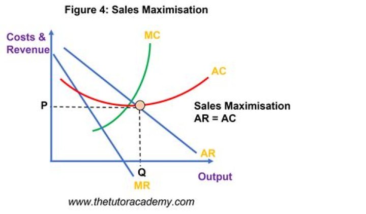 What does sales maximization mean?