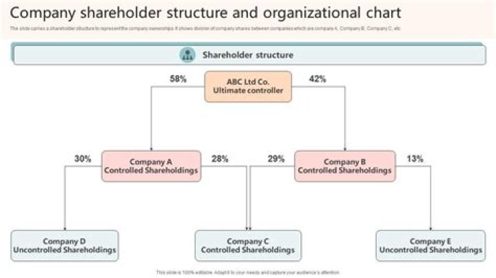 What does shareholders funds mean on company accounts?