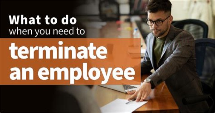 What does terminated mean on a job application?