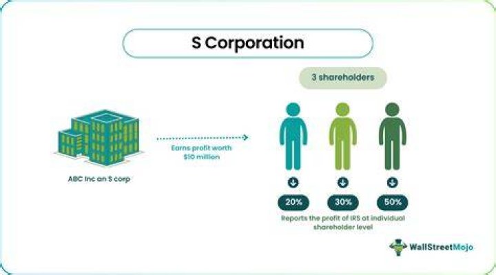What does the S in S corp stand for?