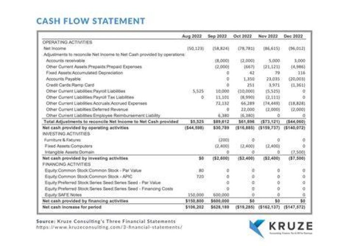 What does the statement of cash flows show?