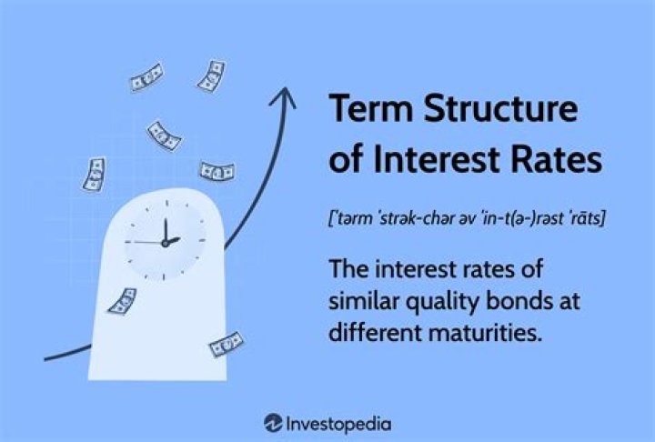 What does the term structure of interest rates indicate?