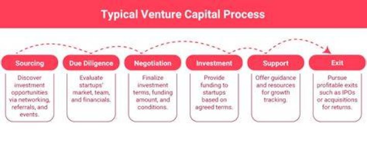 What does venture capital get in return?