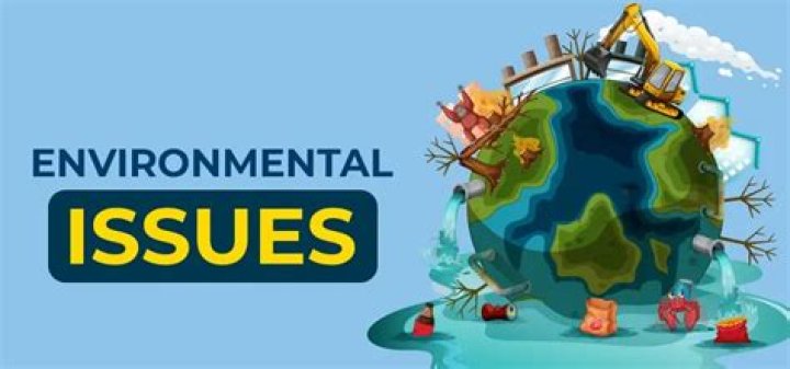 What environmental issues affect using IT systems in business?