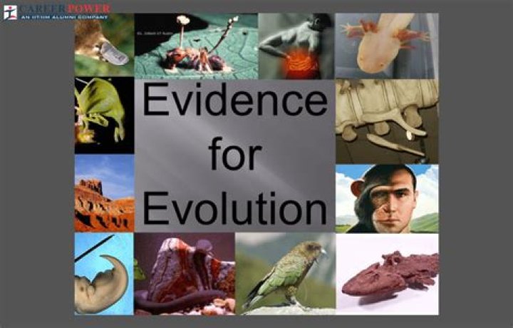 What evidence of evolution shows the presence of structures in organisms that share the same forms?