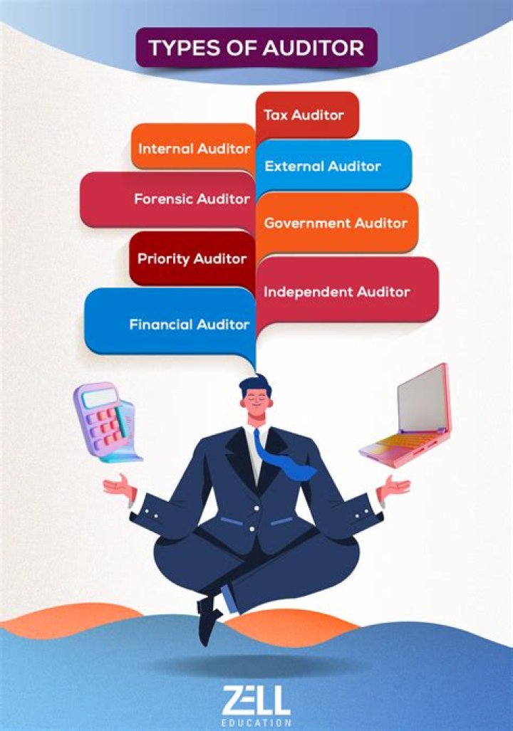 What exactly do auditors do?