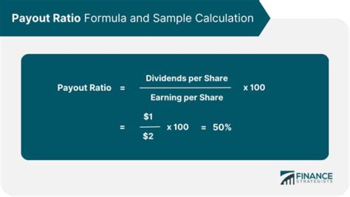 What factors affect payout ratio?