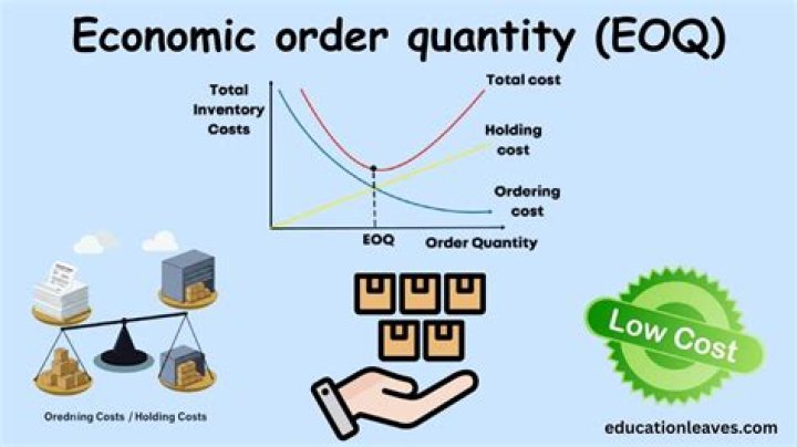 What factors shall be considered in determining the size of an economic order?