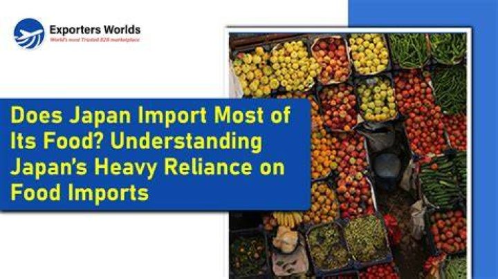 What food does Japan import the most?