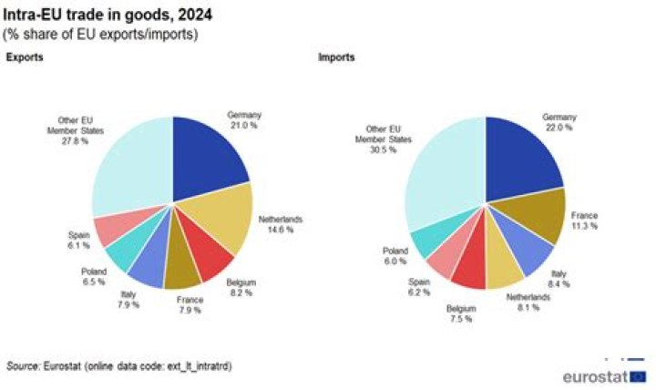 What goods does the EU import?