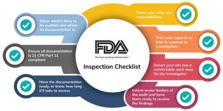 What happens during an FDA audit?
